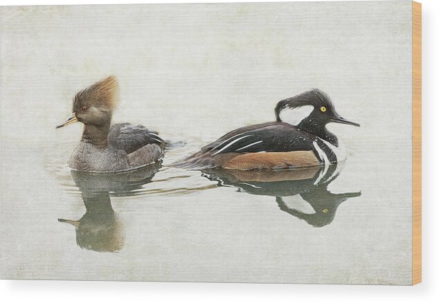 Hooded Mergansers Wood Print featuring the photograph Hooded Mergansers by Angie Vogel