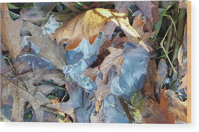 Composition Wood Print featuring the photograph Ice and Fallen Leaves by Lynn Hansen