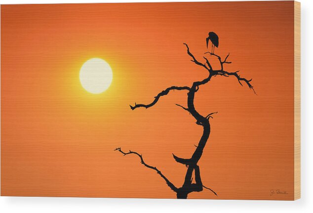Africa Wood Print featuring the photograph Impalila Island Sunset No. 2 by Joe Bonita