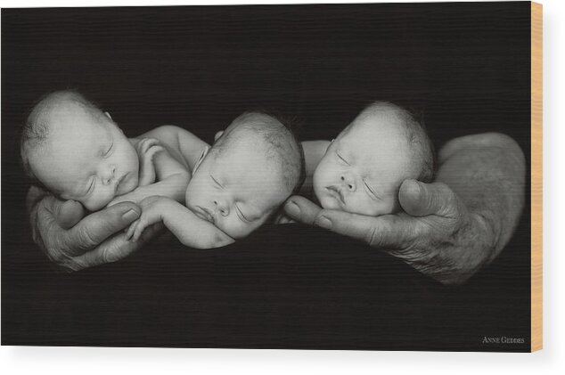 Black And White Wood Print featuring the photograph Jack and the Triplets by Anne Geddes