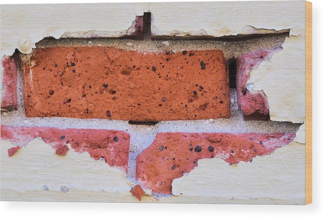 Photo Art Wood Print featuring the photograph Just Another Brick in the Wall by Josephine Buschman