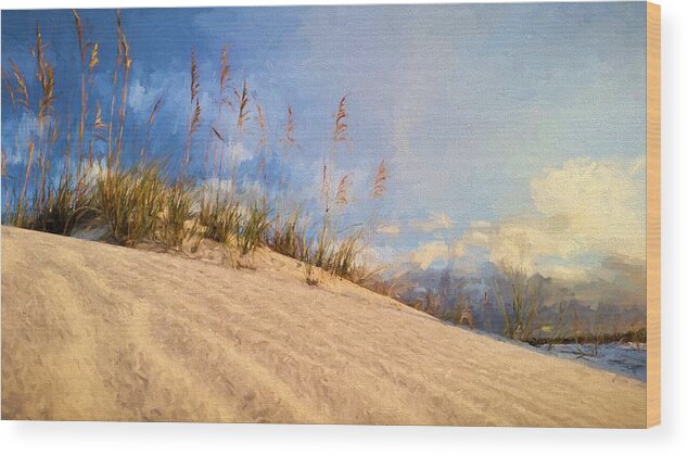 Beach Wood Print featuring the photograph Just Off 30A by JC Findley