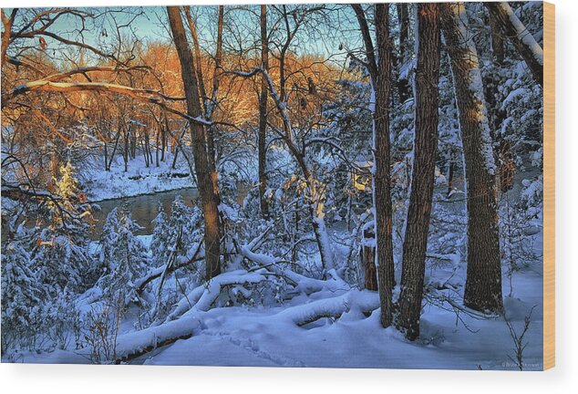 Landscape Wood Print featuring the photograph Late Afternoon Winter Light by Bruce Morrison