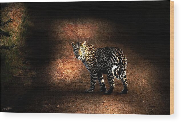 Leopard Wood Print featuring the photograph Leopard by Jean Francois Gil