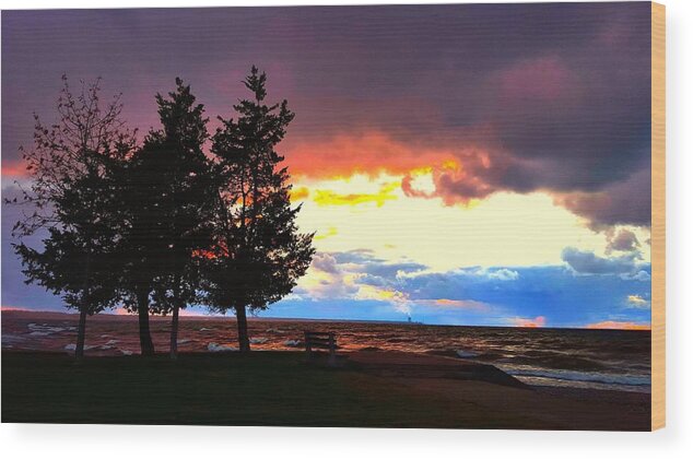Lake Wood Print featuring the photograph Lingering Light by Dani McEvoy