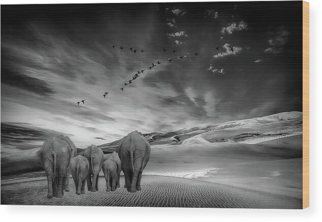 Elephant Wood Print featuring the photograph Long Journey Home by Andrea Kollo