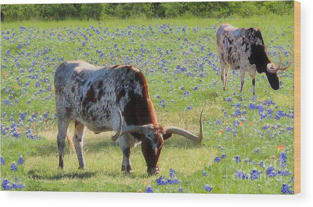 Bluebonnets Wood Print featuring the photograph Longhorns in the Bluebonnets by Janette Boyd