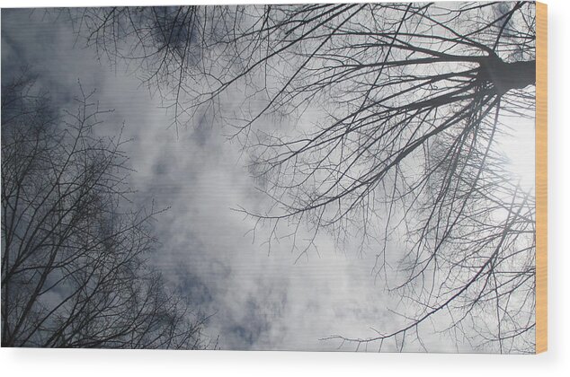 Sky Wood Print featuring the photograph Look At The Sky With Trees And White Clouds by Anamarija Marinovic