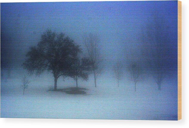 Landscape Wood Print featuring the photograph Love me in the mist by Julie Lueders 