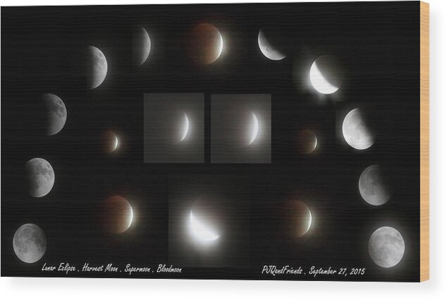 Drum Circle Wood Print featuring the photograph Lunar Extravaganza by PJQandFriends Photography