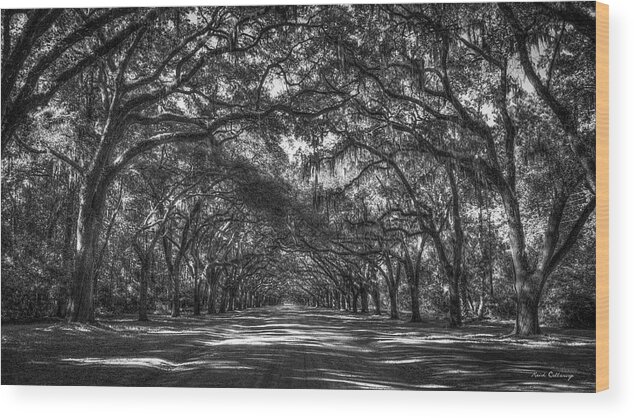 Reid Callaway Wormsloe Plantation Wood Print featuring the photograph Majestic Live Oaks Wormsloe Plantation Savannah GA Landscape Art by Reid Callaway