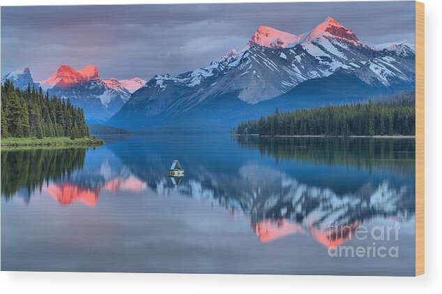 Maligne Lake Wood Print featuring the photograph Maligne Pink Tips by Adam Jewell