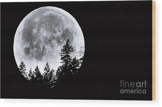 Astronomy Wood Print featuring the photograph May 4 Moon Set by Julia Hassett