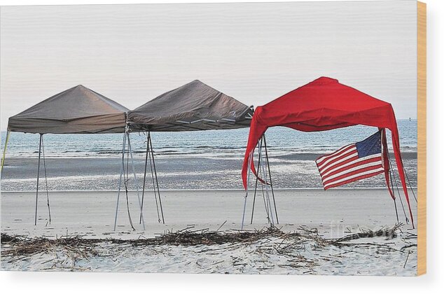 Flag Wood Print featuring the photograph Memorial Day by Jan Gelders