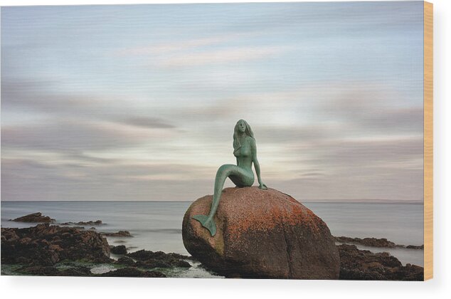 Mermaid Wood Print featuring the photograph Mermaid of the north east by Grant Glendinning