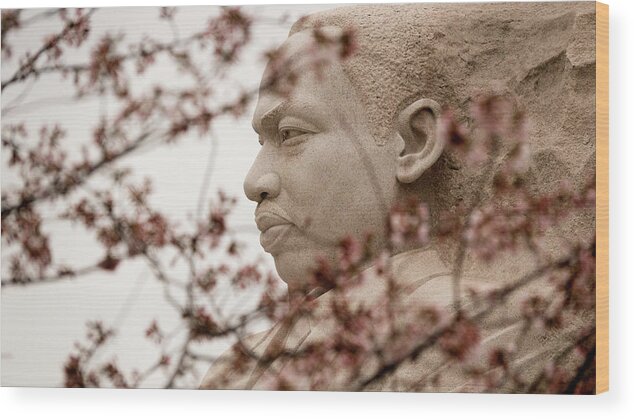 Mlk Wood Print featuring the photograph MLK in DC by Jack Nevitt