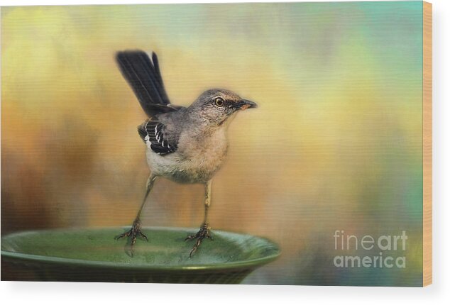 Meal Worm Wood Print featuring the photograph Mockingbird by Darren Fisher