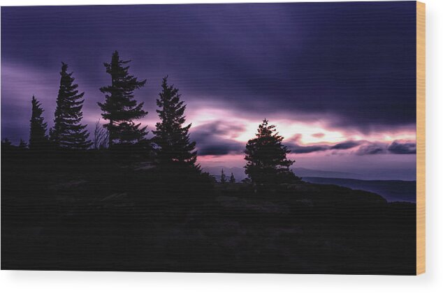 Midnight Wood Print featuring the photograph Morning Twilight by C Renee Martin