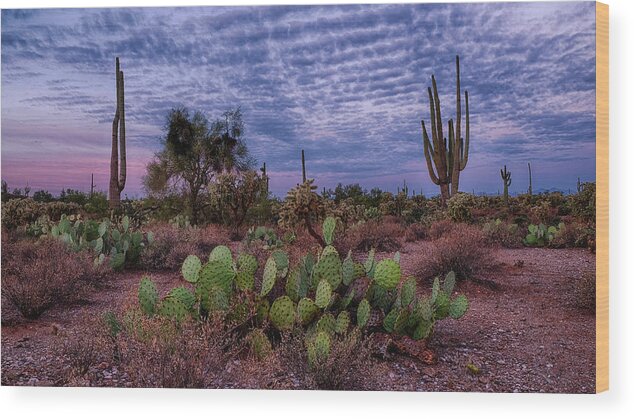 Arizona Wood Print featuring the photograph Morning Walk Along Peralta Trail by Monte Stevens