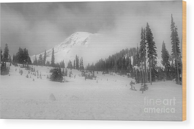 National Park Wood Print featuring the photograph Mt. Rainier by Jane Powell