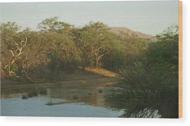 Africa Wood Print featuring the digital art Namibian Waterway by Ernest Echols