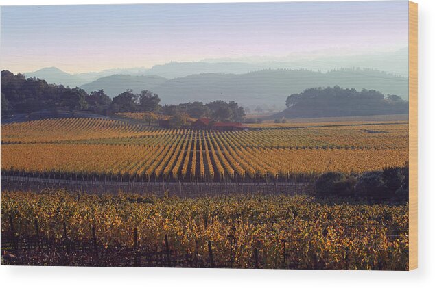 Landscape Wood Print featuring the photograph Napa Valley California 3 by Xueling Zou
