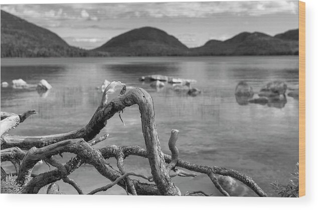 Black And White Wood Print featuring the photograph Natural Curves by Holly Ross