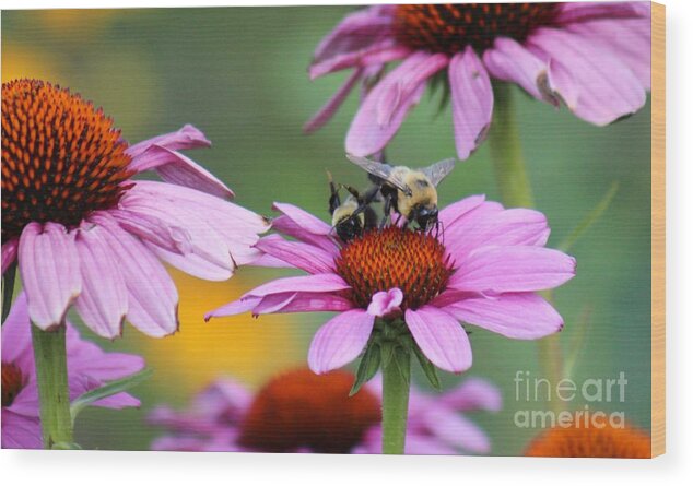Pink Wood Print featuring the photograph Nature's Beauty 65 by Deena Withycombe