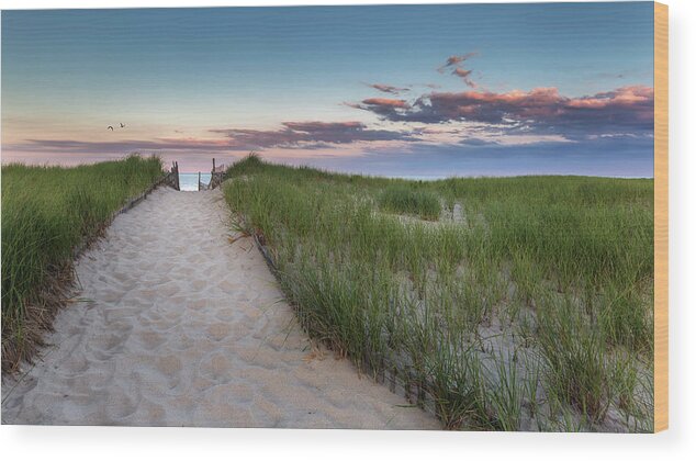 Cape Cod National Seashore Wood Print featuring the photograph Nauset Beach Sunset by Bill Wakeley