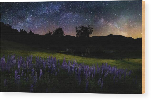 Milky Way Wood Print featuring the photograph Night Flowers by Bill Wakeley