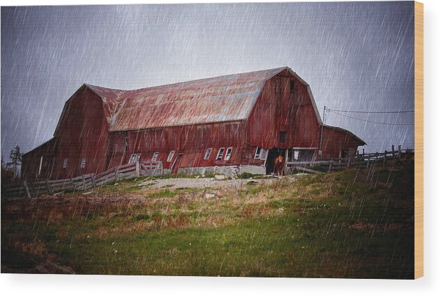 Dilapidated Wood Print featuring the photograph Old Red Barn by Maggie Terlecki