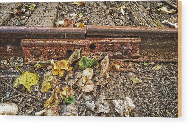 Railroad Wood Print featuring the photograph Old Tracks by Nathan Little