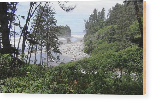 Landscape Wood Print featuring the photograph Olympic National Park Beach by John Mathews