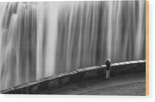 Letchworth Wood Print featuring the photograph On The Brink by Dave Niedbala