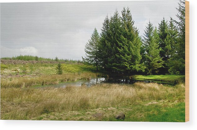 Woods Wood Print featuring the photograph On the Woodland edge by Elena Perelman