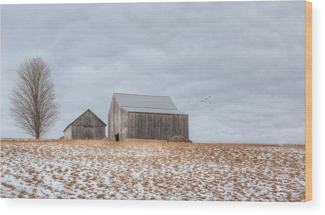 Barn Wood Print featuring the photograph Overcast by Bill Wakeley