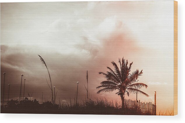 Florida Wood Print featuring the photograph Palm Fence Delray Beach Florida by Lawrence S Richardson Jr