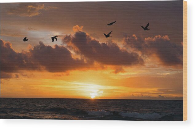 Florida Wood Print featuring the photograph Pelicans Soar at Sunrise Delray Beach, Florida by Lawrence S Richardson Jr