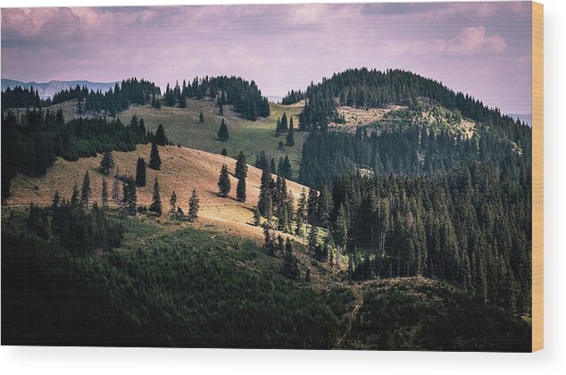 Carpathians Wood Print featuring the photograph Piatra Craiului, Southern Carpathians - Romania - Landscape photography by Giuseppe Milo