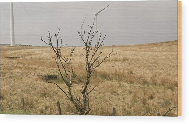 Windmill Wood Print featuring the photograph Planted. by Elena Perelman