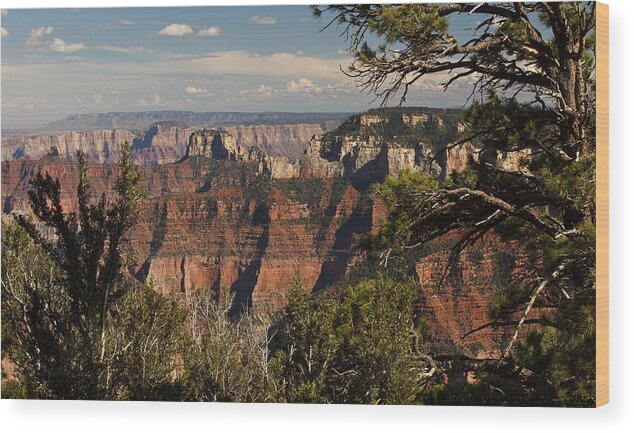 Canyon Wood Print featuring the photograph Pointe Imperial - Grand Canyon by Jonas Wingfield