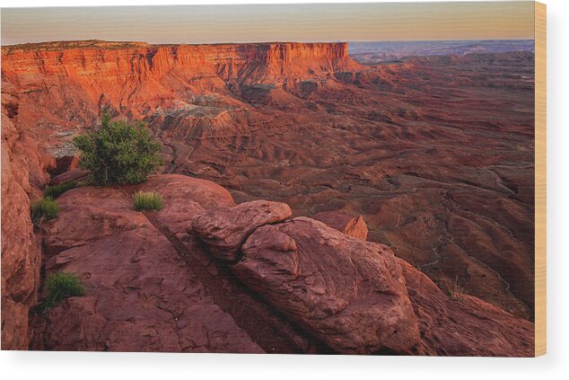 Red Rock Wood Print featuring the photograph Red Glow by Judi Kubes