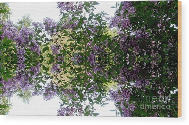 Lilac Wood Print featuring the photograph Reflections In Spring by Eunice Miller