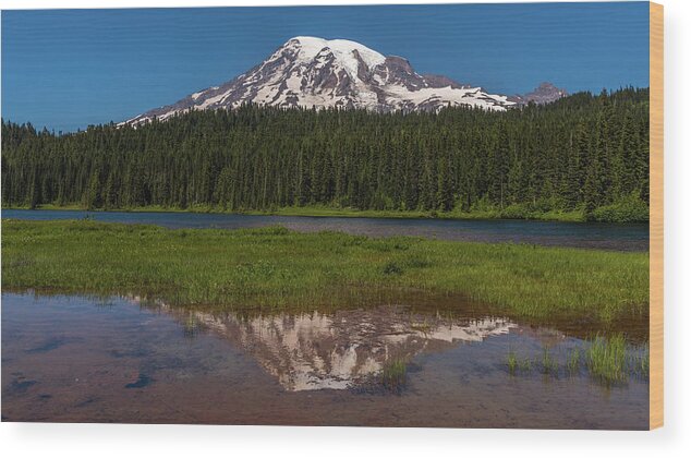 Brenda Jacobs Fine Art Wood Print featuring the photograph Reflections of Mount Rainier by Brenda Jacobs