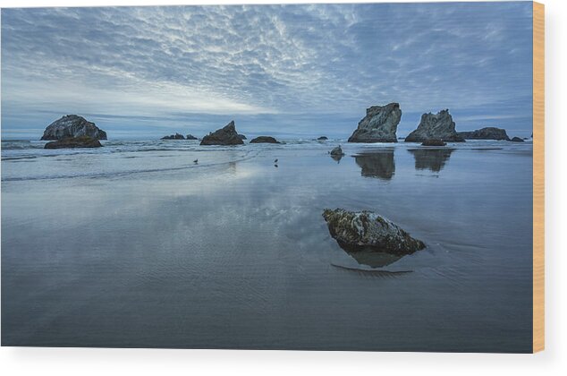 Face Rock Beach Wood Print featuring the photograph Rock Formations along the Shore by Rick Strobaugh