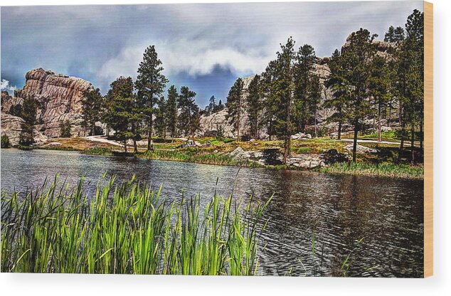 Nature Wood Print featuring the photograph Rocky Waters by Deborah Klubertanz