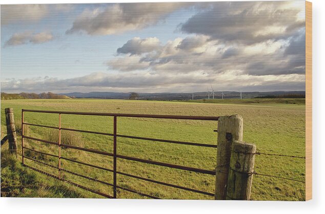 Blackridge Wood Print featuring the photograph Rural landscape with iron gate. by Elena Perelman