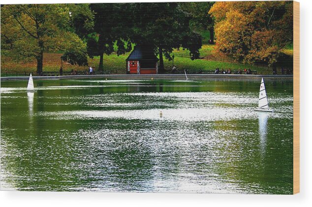 Sailboat Pond Wood Print featuring the photograph Sailboat Pond in Central Park Afternoon by Christopher J Kirby