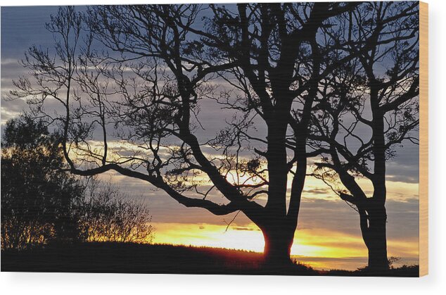 African Sunset Wood Print featuring the photograph Savanna sunset in Scottish vale by Elena Perelman