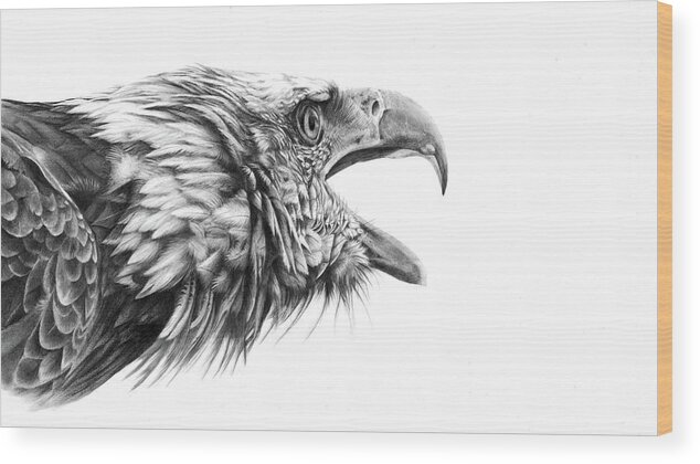 Eagle Wood Print featuring the drawing Screaming Eagle by Peter Williams